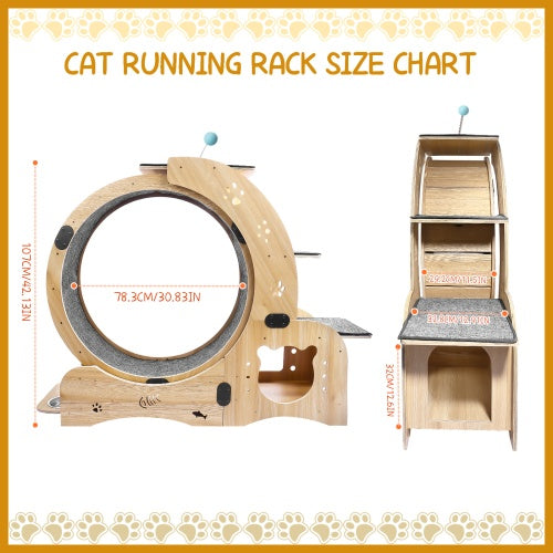 Cat Wheel 6-in-1 Cat Fitness Wheel - Get It for Your Pets - Pet Store