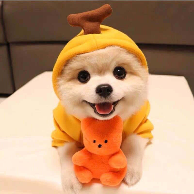 Cute Fruit Dog Clothes For Small Dogs Hoodies Winter Warm Fleece Pet Clothing Puppy Cat Costume Coat For French Chihuahua Outfit - Get It for Your Pets - Pet Store