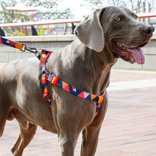 Pet leash collar - Get It for Your Pets