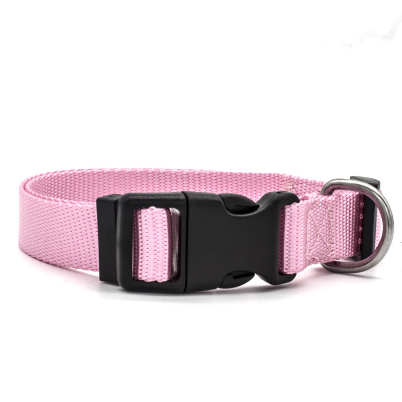 New Pet Collar - Get It for Your Pets - Pet Store