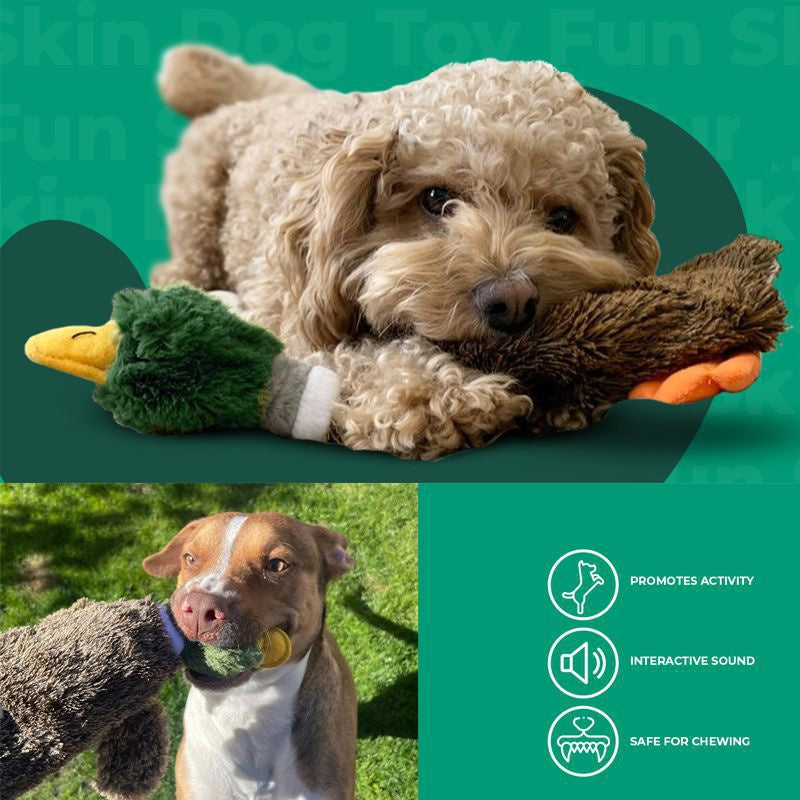 Best Pet Supplies 2-in-1 Stuffless Squeaky Dog Toys With Soft, Durable Fabric For Small, Medium, And Large Pets, No Stuffing For Indoor Play, Supports Active Biting And Play - 1Wild Duck - Get It for Your Pets
