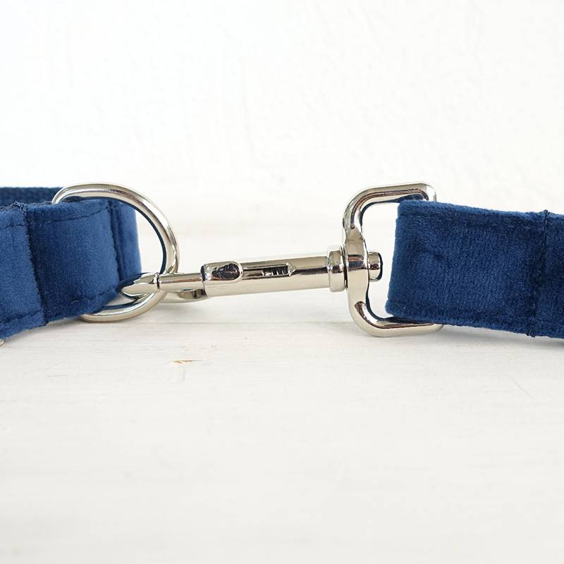 Bow pet collar large and small pet traction collar dog chain - Get It for Your Pets - Pet Store