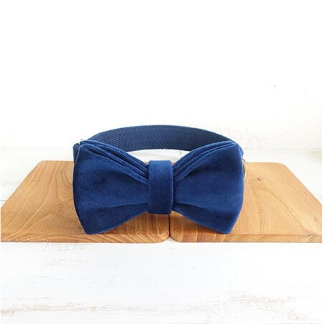 Bow pet collar large and small pet traction collar dog chain - Get It for Your Pets - Pet Store