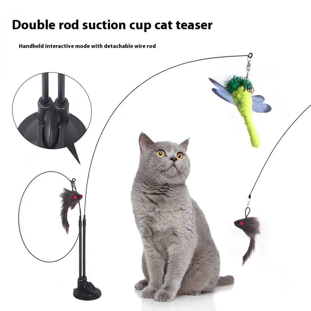 Cat Sucker Teaser Toy - Get It for Your Pets