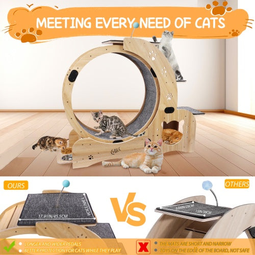 Cat Wheel 6-in-1 Cat Fitness Wheel - Get It for Your Pets - Pet Store