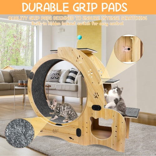 Cat Wheel 6-in-1 Cat Fitness Wheel - Get It for Your Pets - Pet Store