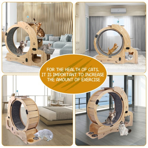 Cat Wheel 6-in-1 Cat Fitness Wheel - Get It for Your Pets - Pet Store