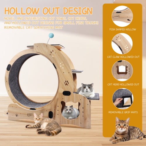 Cat Wheel 6-in-1 Cat Fitness Wheel - Get It for Your Pets - Pet Store