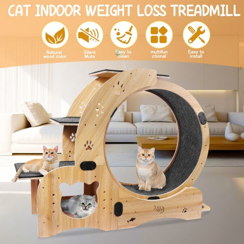 Cat Wheel 6-in-1 Cat Fitness Wheel - Get It for Your Pets - Pet Store