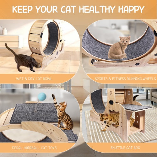Cat Wheel 6-in-1 Cat Fitness Wheel - Get It for Your Pets - Pet Store