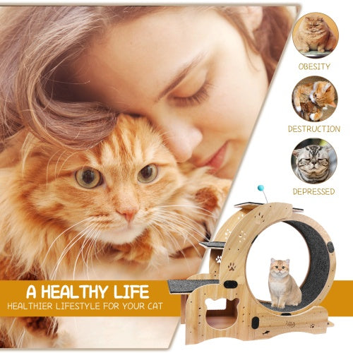 Cat Wheel 6-in-1 Cat Fitness Wheel - Get It for Your Pets - Pet Store
