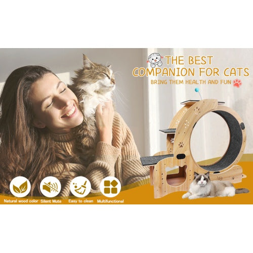 Cat Wheel 6-in-1 Cat Fitness Wheel - Get It for Your Pets - Pet Store