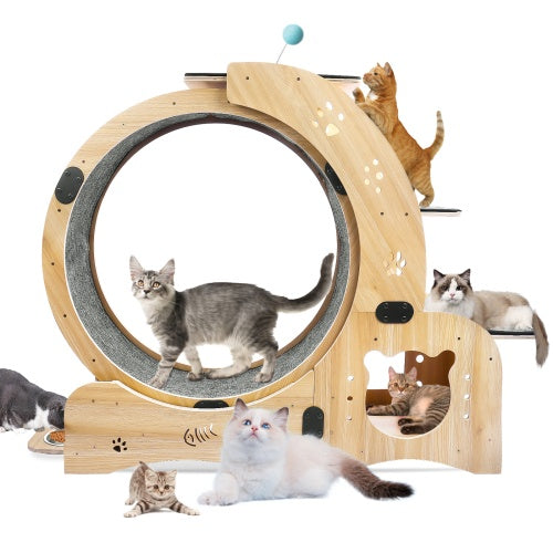 Cat Wheel 6-in-1 Cat Fitness Wheel - Get It for Your Pets - Pet Store