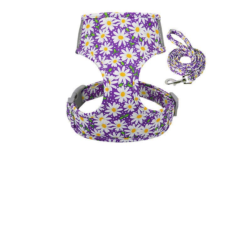 Collar and chest strap - Get It for Your Pets