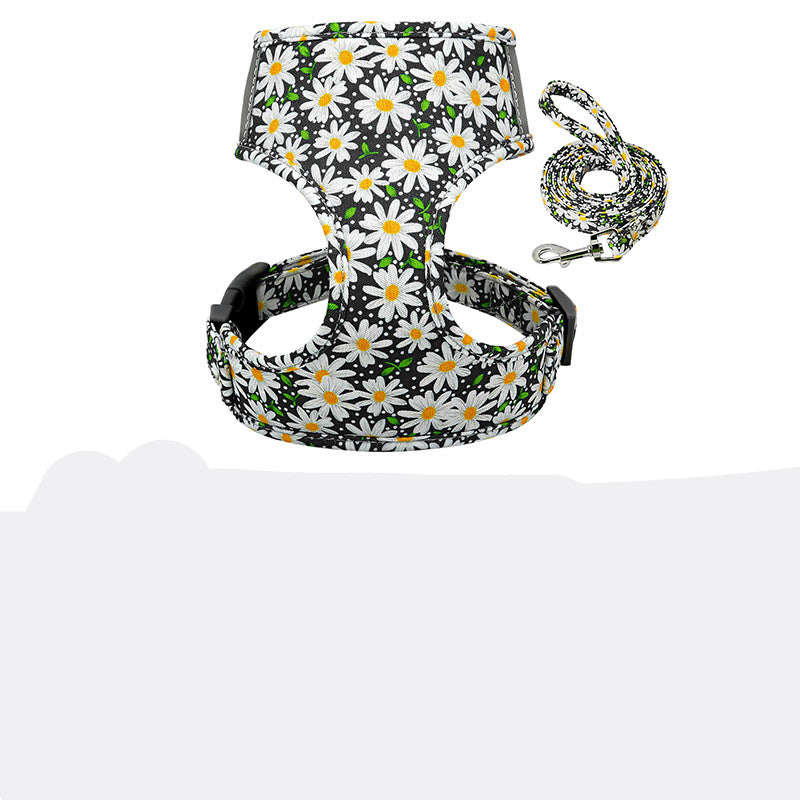 Collar and chest strap - Get It for Your Pets