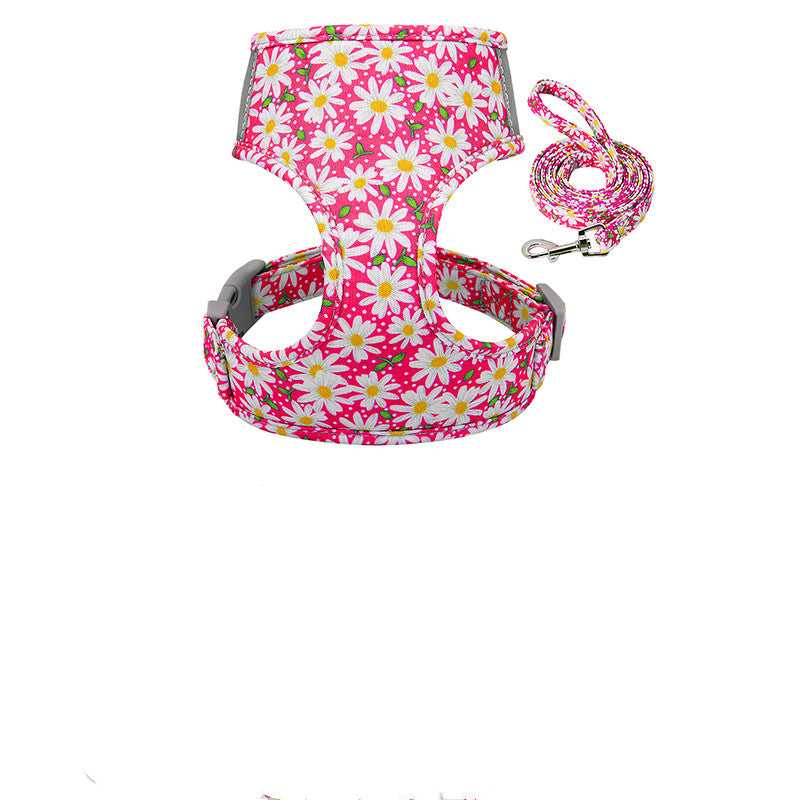 Collar and chest strap - Get It for Your Pets
