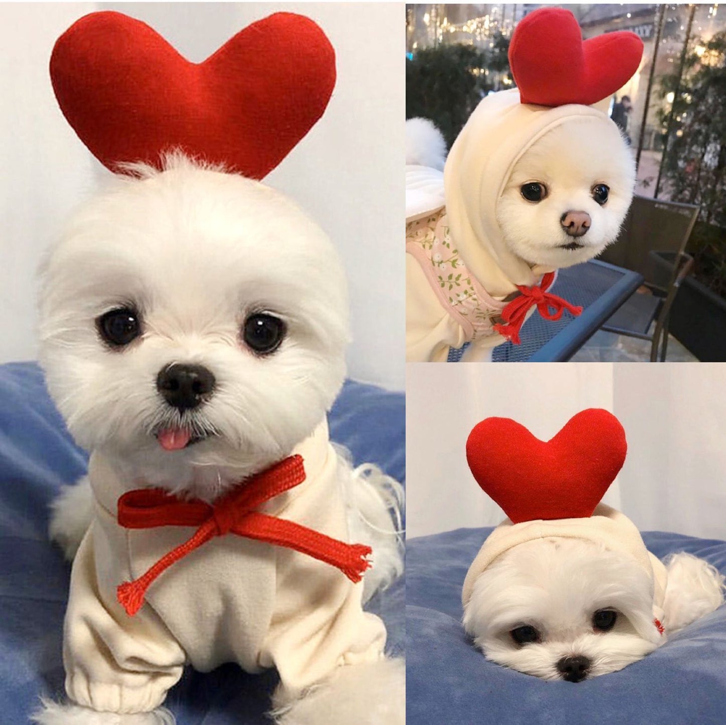 Cute Fruit Dog Clothes For Small Dogs Hoodies Winter Warm Fleece Pet Clothing Puppy Cat Costume Coat For French Chihuahua Outfit - Get It for Your Pets - Pet Store