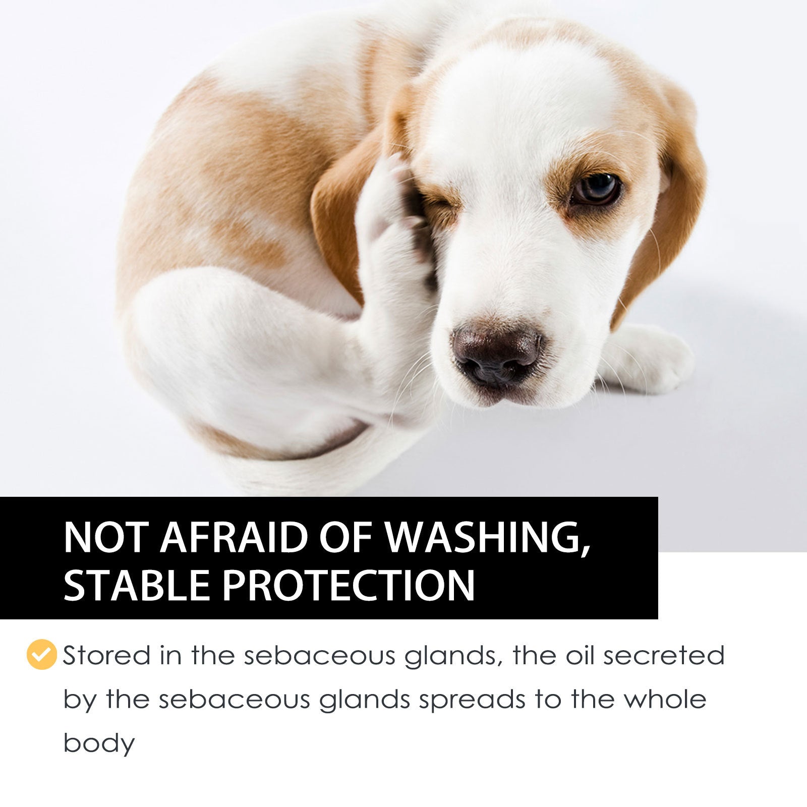 Dog Cat Drops Spray Cleaning Remove Lice Tick Flea - Get It for Your Pets