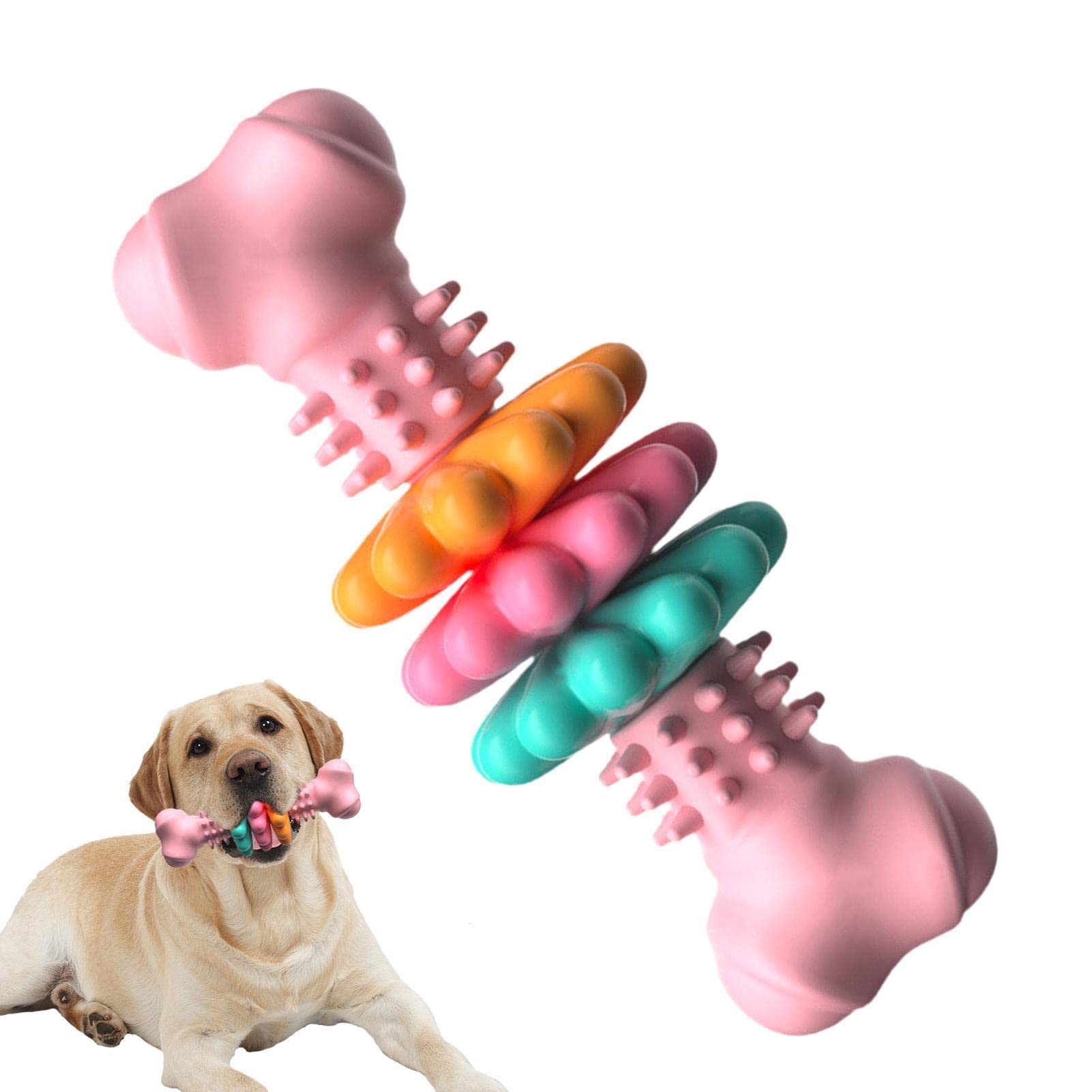 Dog Chew Toy Dog Bone Type  Dogs Teeth Cleaning Toys Indestructible TPR Bone Chewing Bite Resistant Teething Toys  Pet Products - Get It for Your Pets