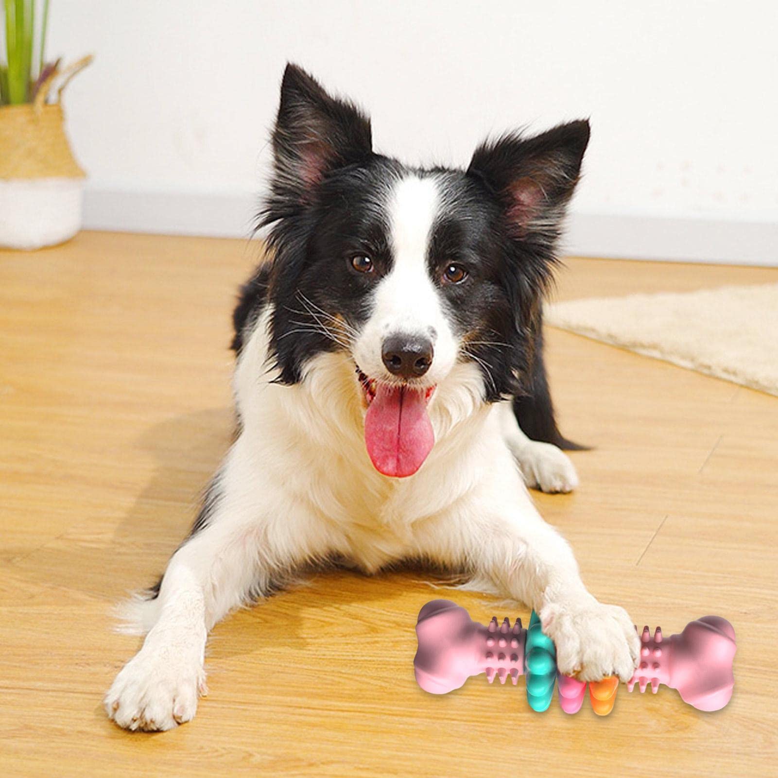 Dog Chew Toy Dog Bone Type  Dogs Teeth Cleaning Toys Indestructible TPR Bone Chewing Bite Resistant Teething Toys  Pet Products - Get It for Your Pets