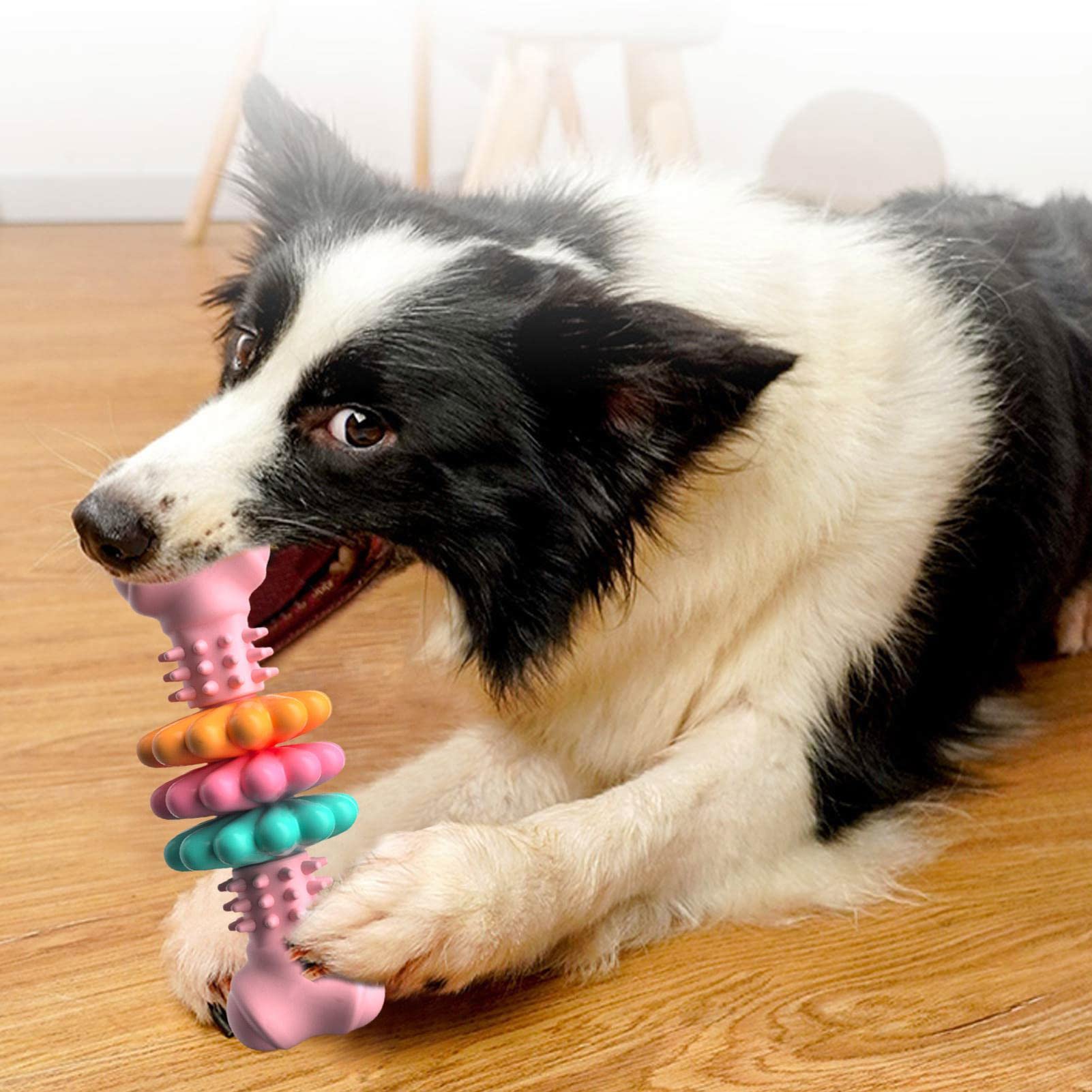 Dog Chew Toy Dog Bone Type  Dogs Teeth Cleaning Toys Indestructible TPR Bone Chewing Bite Resistant Teething Toys  Pet Products - Get It for Your Pets