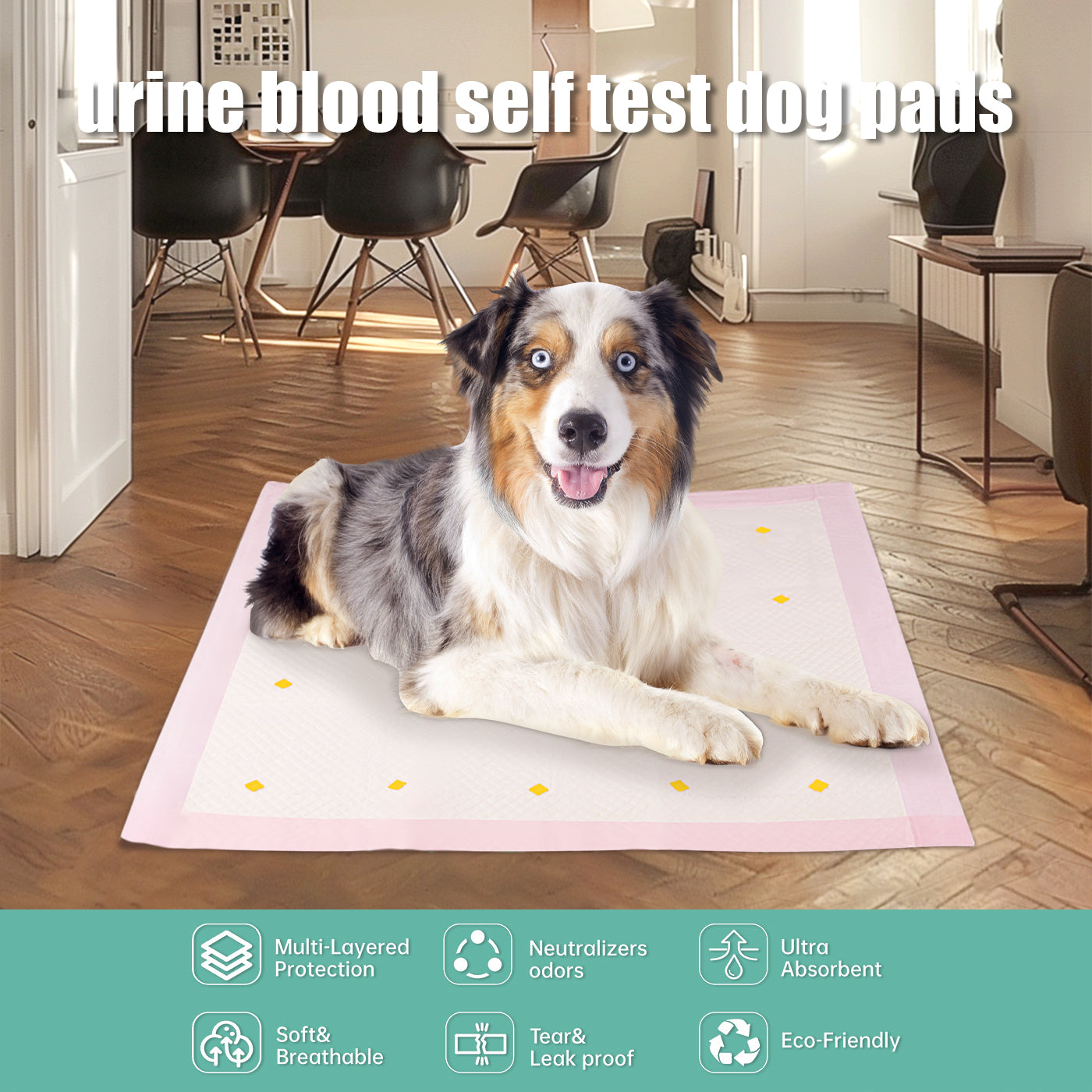 Dog Detection Urine Pad - Get It for Your Pets - Pet Store