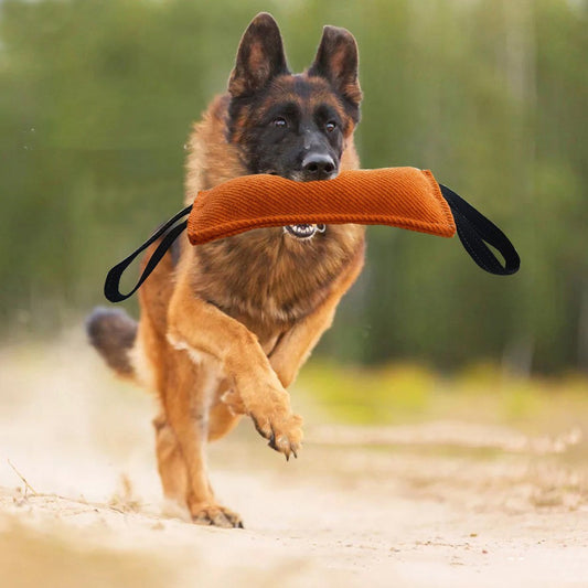 Dog Drag Toy Dog Jute Bite Pillow Durable Training Equipment - Get It for Your Pets