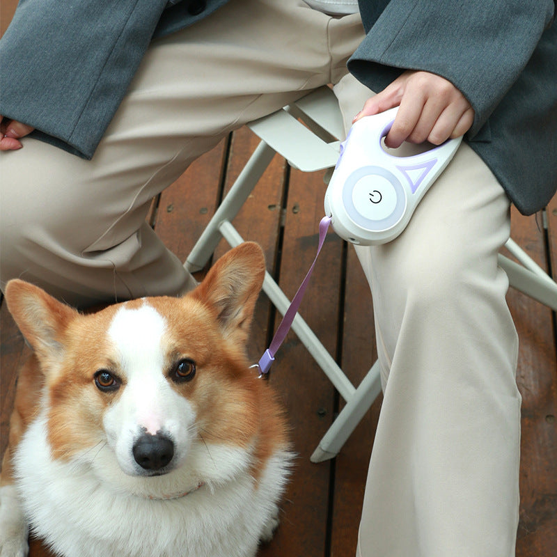 Dog Leash Retractable Leash And Dog Collar Spotlight Automatic Pet Dog Cat Traction Rope For Small Medium Dogs Pet Product - Get It for Your Pets