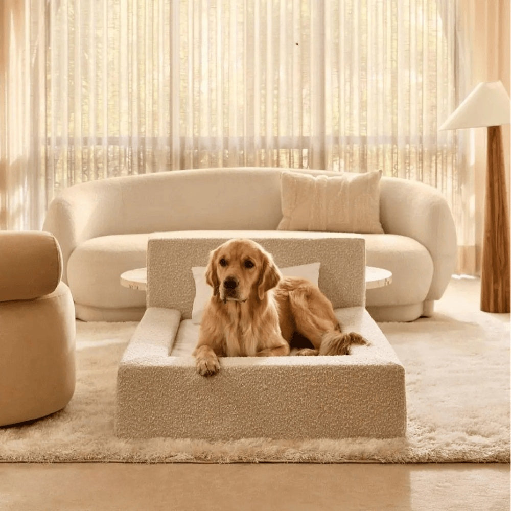 Dog Mat, Movable Rectangular Sponge Cat Bed Backrest, Pet Sofa, Suitable For Small, Medium And Large Cats And Dogs, Mat Bed, Dog Pet Accessories, Bedding - Get It for Your Pets - Pet Store