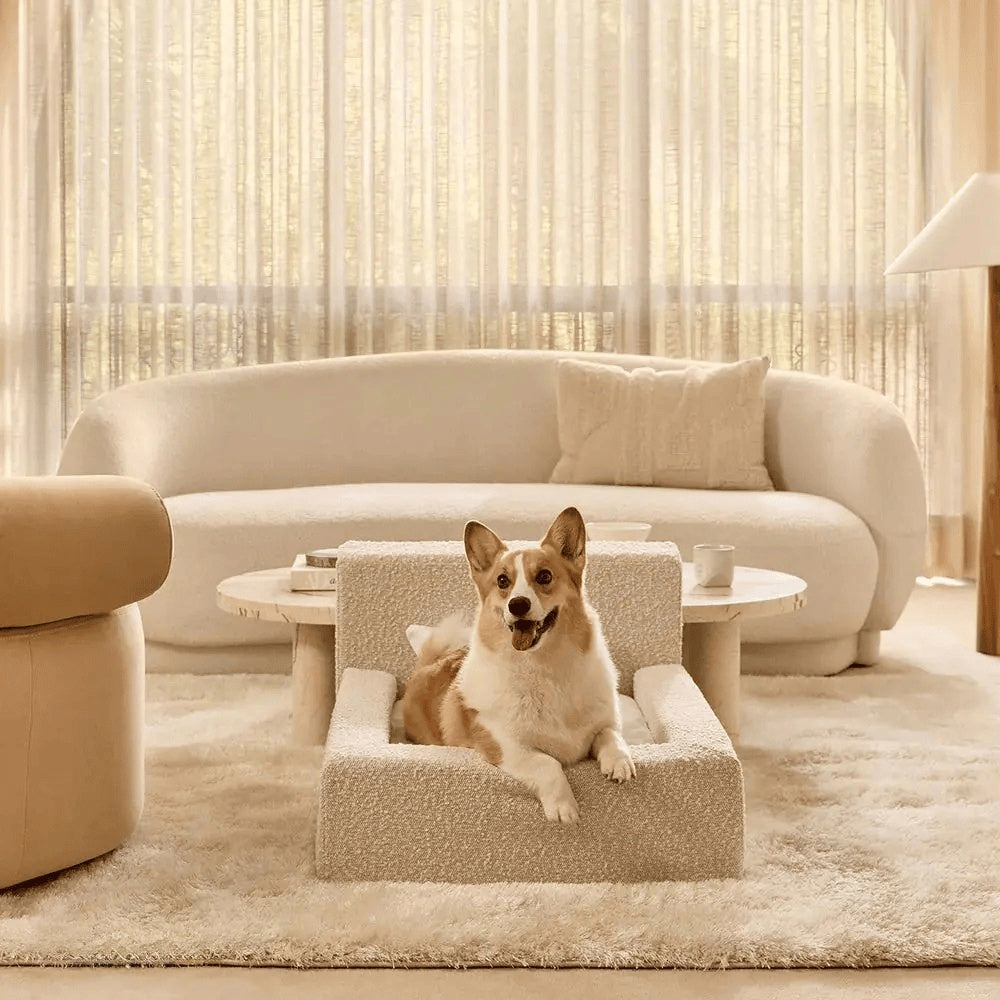 Dog Mat, Movable Rectangular Sponge Cat Bed Backrest, Pet Sofa, Suitable For Small, Medium And Large Cats And Dogs, Mat Bed, Dog Pet Accessories, Bedding - Get It for Your Pets - Pet Store