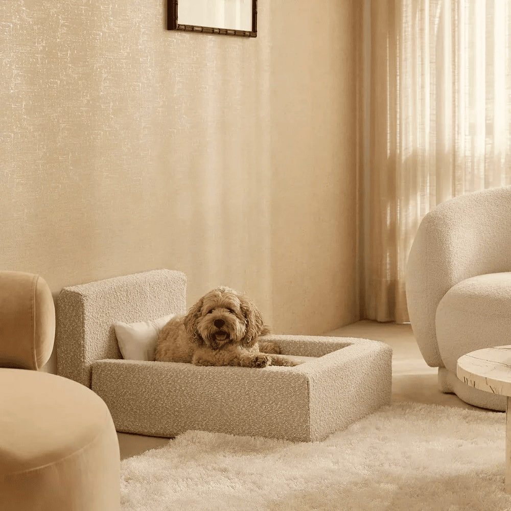 Dog Mat, Movable Rectangular Sponge Cat Bed Backrest, Pet Sofa, Suitable For Small, Medium And Large Cats And Dogs, Mat Bed, Dog Pet Accessories, Bedding - Get It for Your Pets - Pet Store