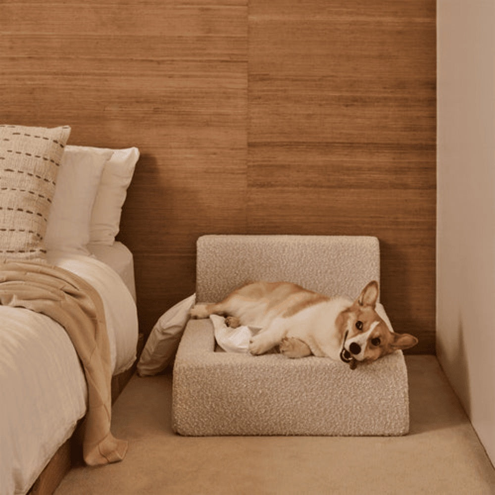 Dog Mat, Movable Rectangular Sponge Cat Bed Backrest, Pet Sofa, Suitable For Small, Medium And Large Cats And Dogs, Mat Bed, Dog Pet Accessories, Bedding - Get It for Your Pets - Pet Store