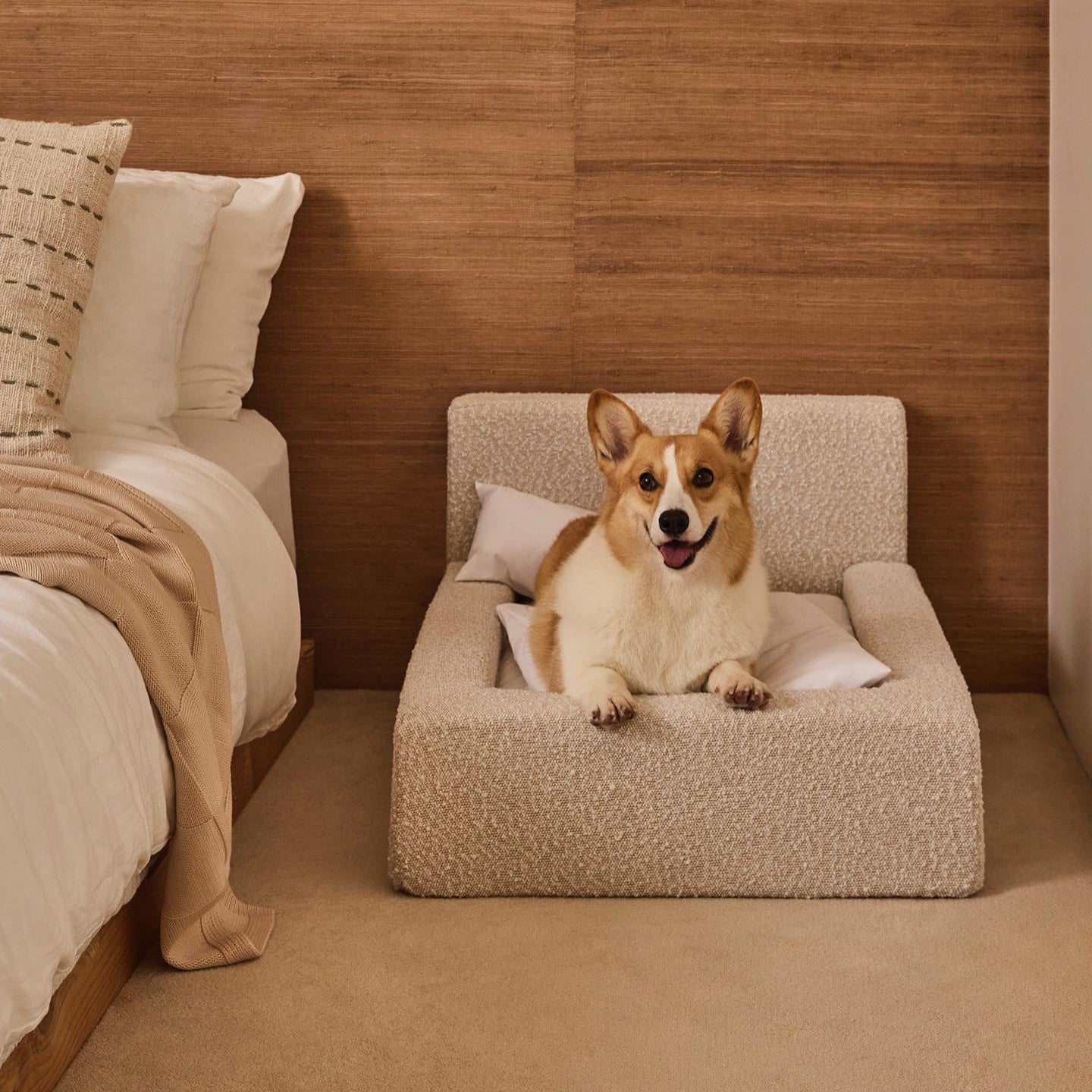 Dog Mat, Movable Rectangular Sponge Cat Bed Backrest, Pet Sofa, Suitable For Small, Medium And Large Cats And Dogs, Mat Bed, Dog Pet Accessories, Bedding - Get It for Your Pets - Pet Store