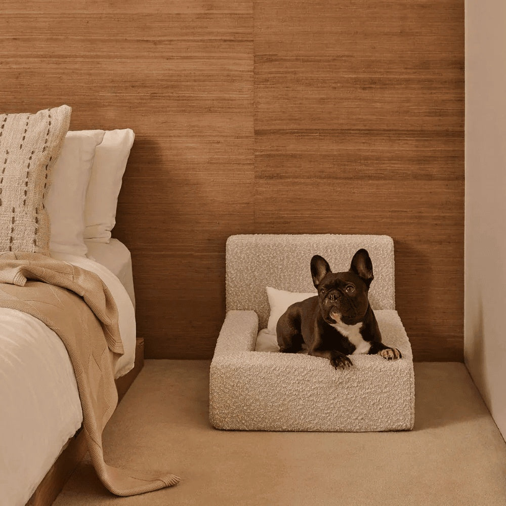 Dog Mat, Movable Rectangular Sponge Cat Bed Backrest, Pet Sofa, Suitable For Small, Medium And Large Cats And Dogs, Mat Bed, Dog Pet Accessories, Bedding - Get It for Your Pets - Pet Store