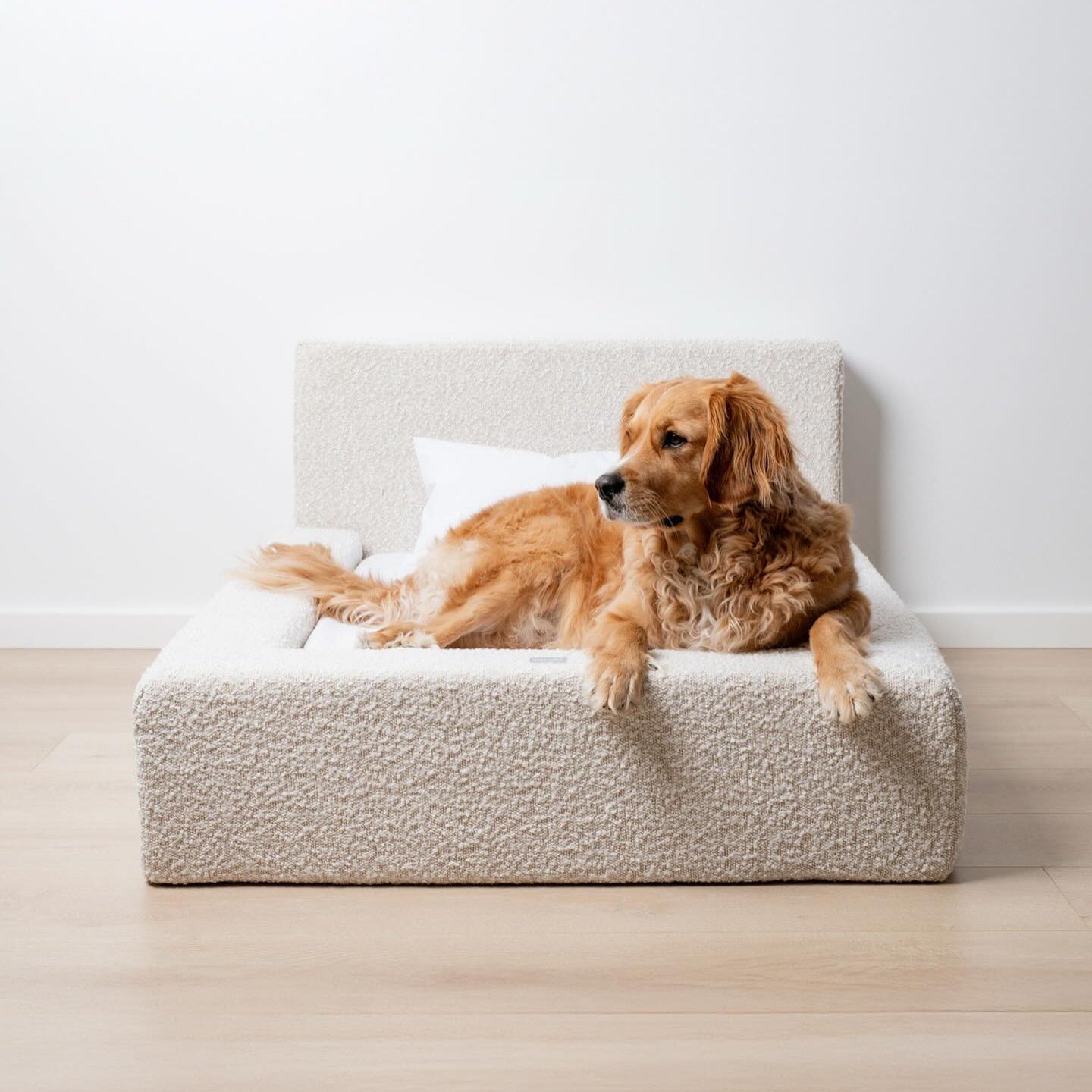 Dog Mat, Movable Rectangular Sponge Cat Bed Backrest, Pet Sofa, Suitable For Small, Medium And Large Cats And Dogs, Mat Bed, Dog Pet Accessories, Bedding - Get It for Your Pets - Pet Store