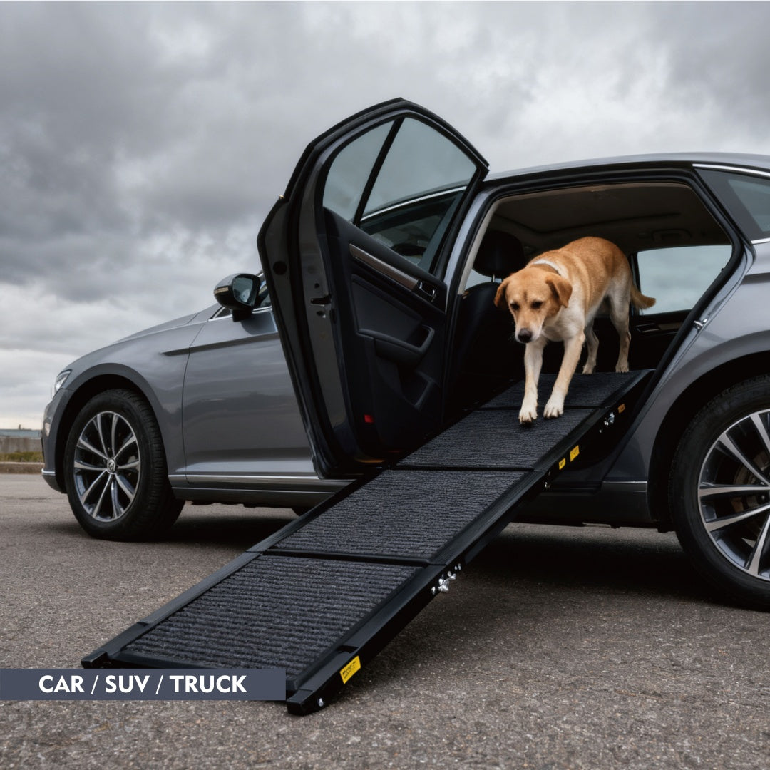 Dog Ramp For Car 71 Long  19.5 Wide Portable Dog Ramps For Large Dogs With Non-Slip Rug Surface Dog Car Ramp For SUV Car  Truck, Folding Dog Ramp Up To 250LBS - Get It for Your Pets - Pet Store