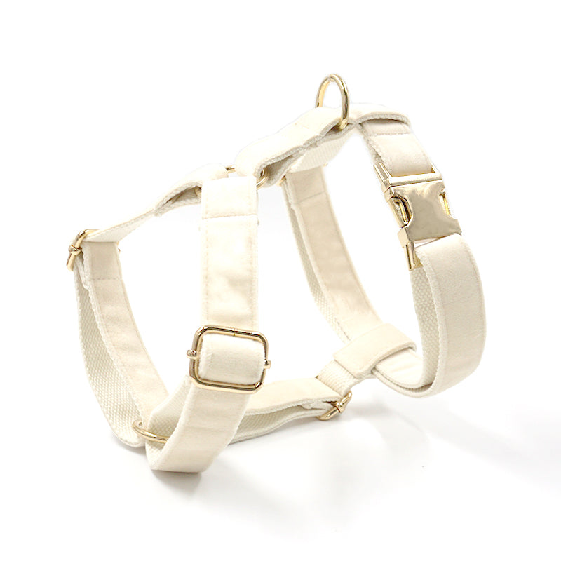 Dog collar traction rope - Get It for Your Pets - Pet Store