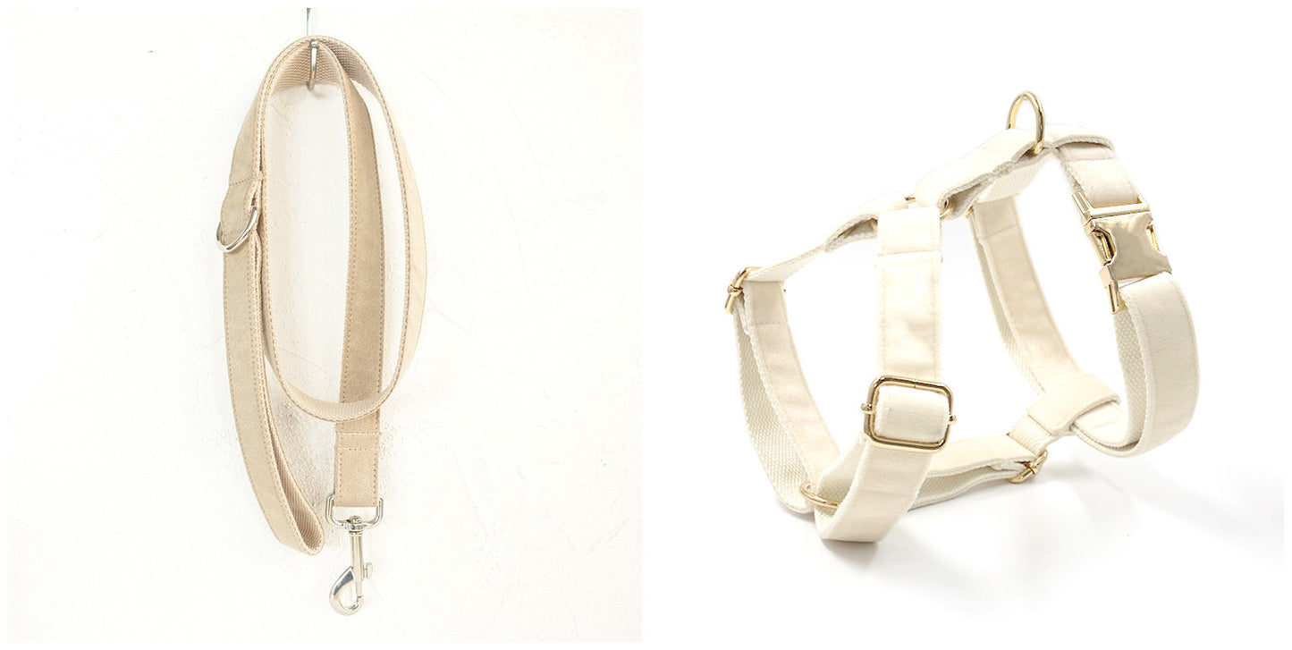 Dog collar traction rope - Get It for Your Pets - Pet Store