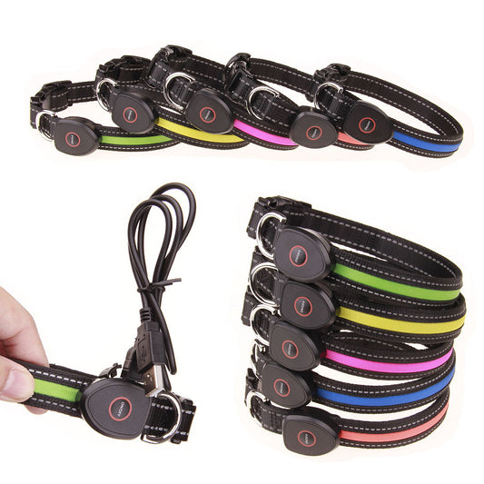 Dog luminous collar - Get It for Your Pets