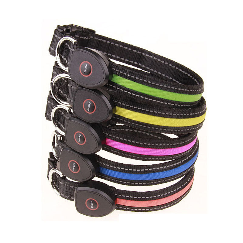 Dog luminous collar - Get It for Your Pets