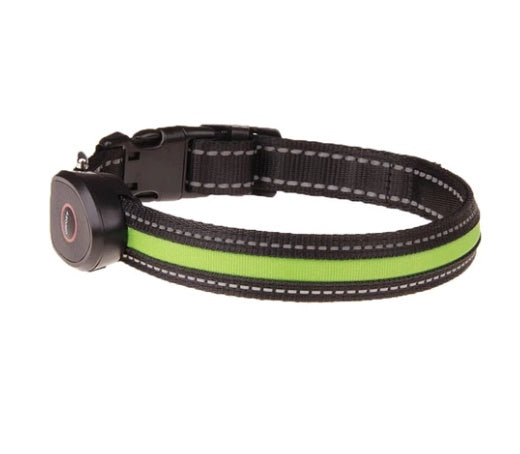 Dog luminous collar - Get It for Your Pets