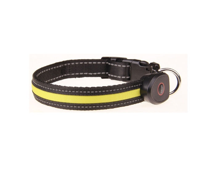Dog luminous collar - Get It for Your Pets