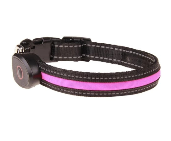 Dog luminous collar - Get It for Your Pets