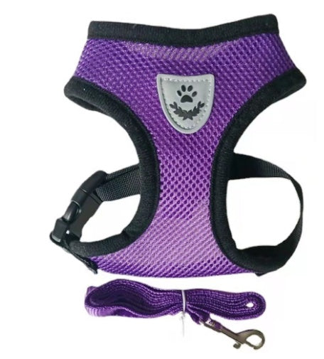 Fashionable High-end Multi-color Dog Harness - Get It for Your Pets - Pet Store