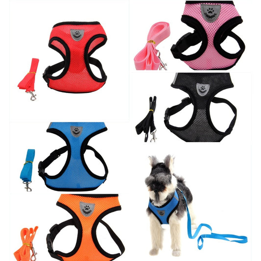 Fashionable High-end Multi-color Dog Harness - Get It for Your Pets - Pet Store