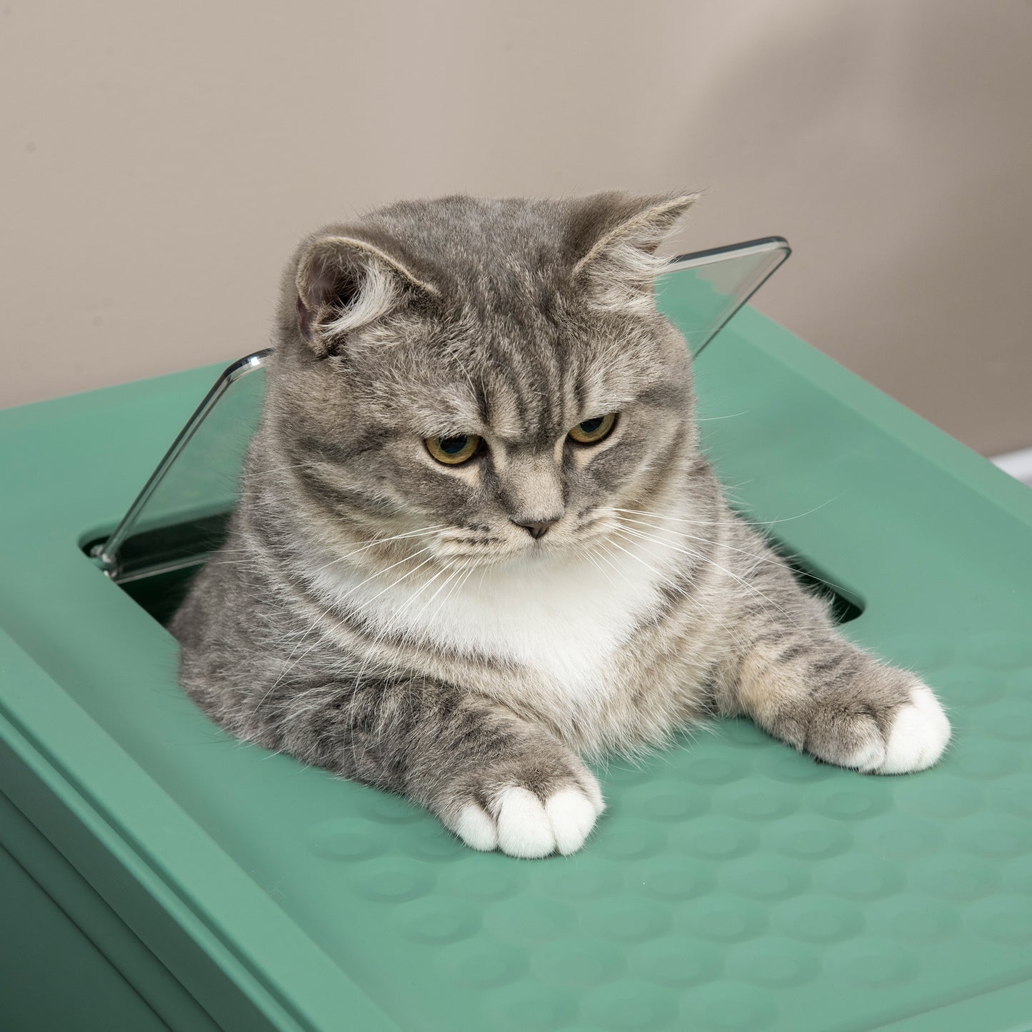 Fully Enclosed Cat Litter Box Portable Pet Toilet With Spoon Large Space - Get It for Your Pets - Pet Store