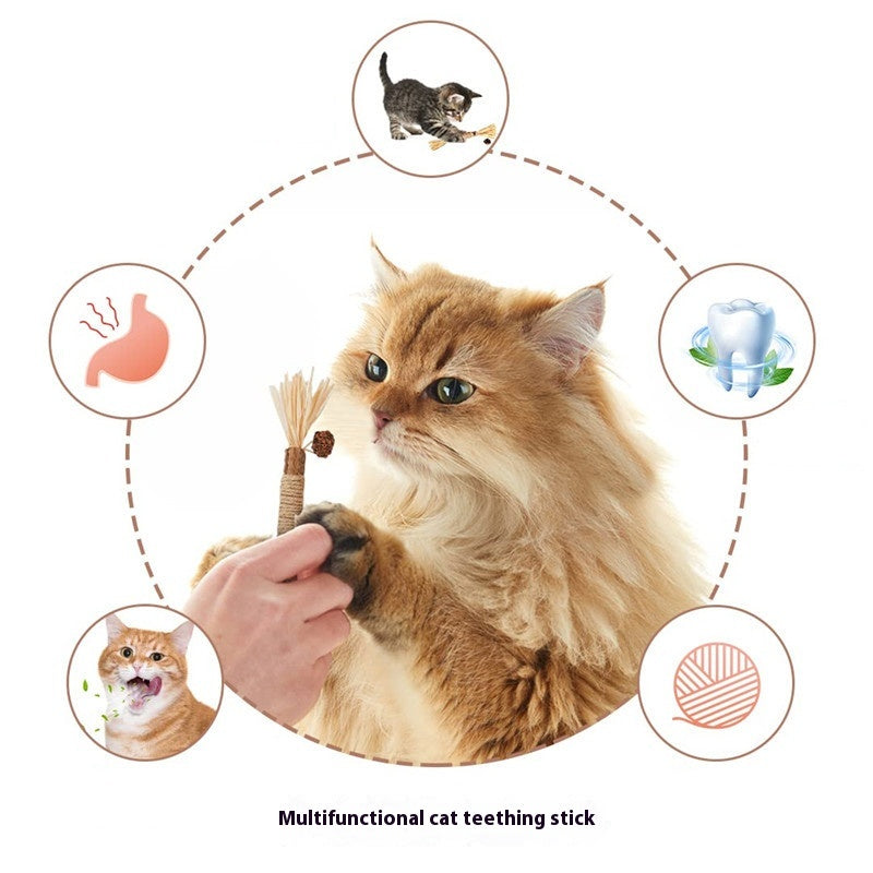 Funny Cat Molar Bite Stick Toy - Get It for Your Pets