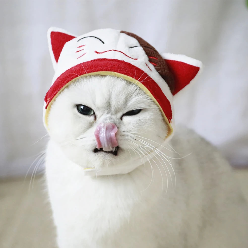 Hat for a Cat Hats for Dogs Accessories Cosplay Cat Costume Kawaii Cute Dog Hat Funny Pet Prodcuts for Bulldog Chihuahua Kitten