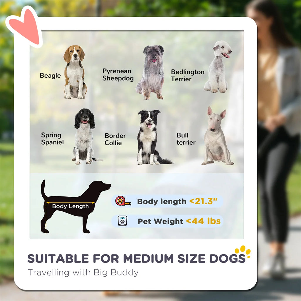 Foldable Dog Stroller Convenient Pet Stroller with Key Features