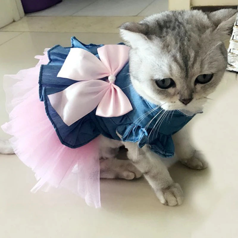 Denim Sphynx Cat Dress Skirt Summer Girl Female Pet Clothes for Cats Gotas Kitten Garfield Dresses mascotas Costume Dog Clothing